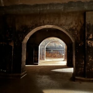 image3 (2)